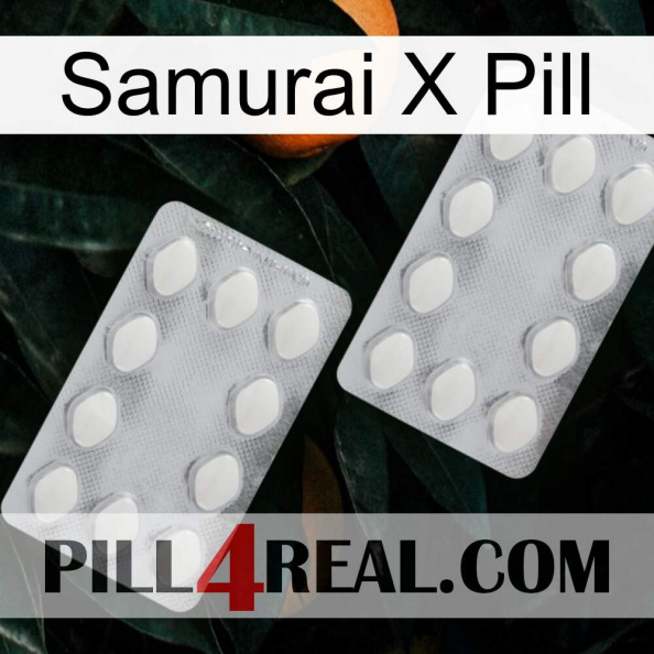 Samurai X Pill 17.jpg